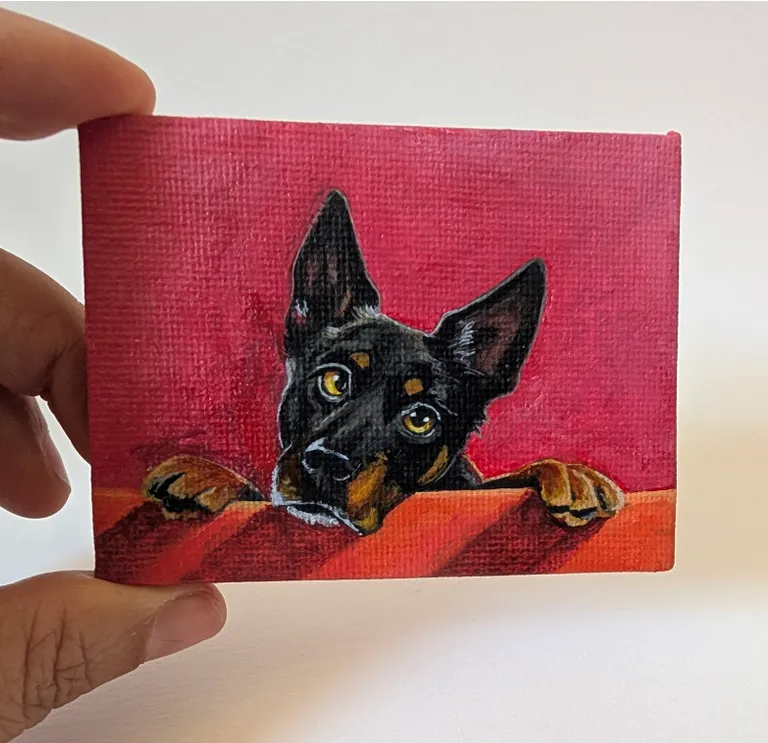 Feeling cute… Might bork later