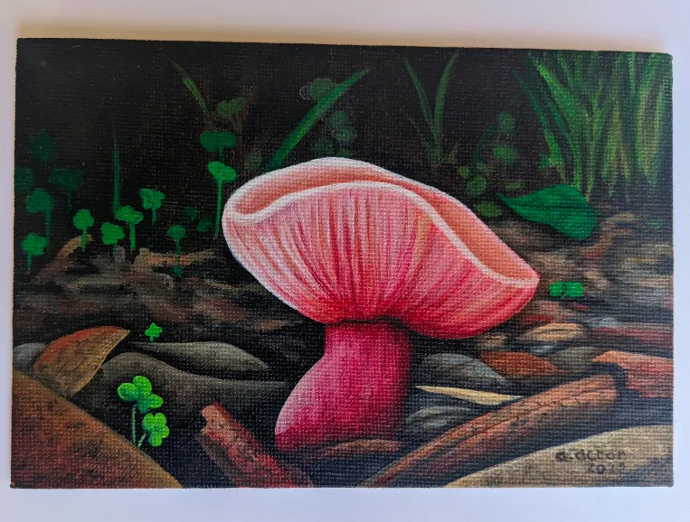 Pink Mushroom